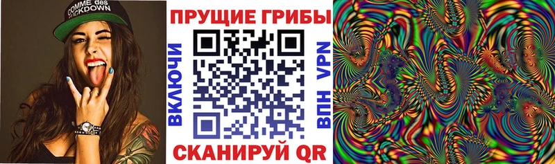 KRAKEN как войти  Хотьково  Псилоцибиновые грибы прущие грибы 